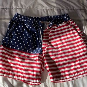 Chubbies ‘Mercia (5.5 inch inseam)